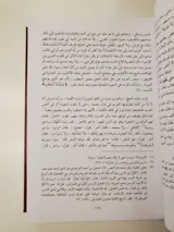 محاضرات في تاريخ الأمم الإسلامية – الدولة الأموية thumbnail 2