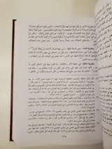 محاضرات في تاريخ الأمم الإسلامية – الدولة الأموية thumbnail 3