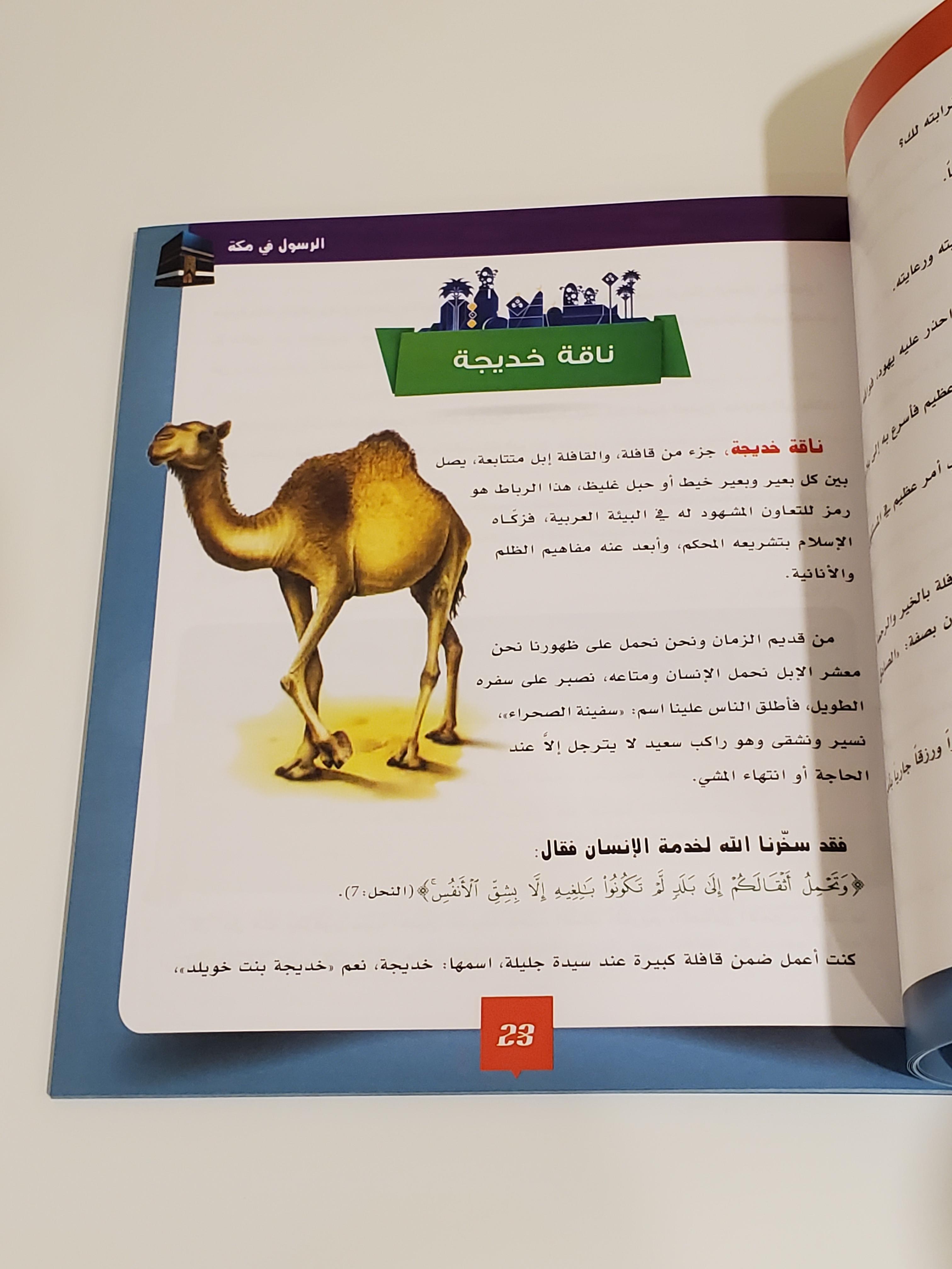 La Sira du Prophète pour les Enfants thumbnail 3